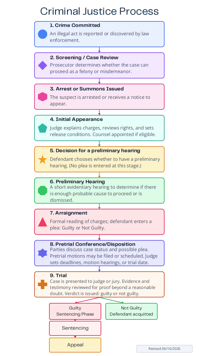 Court process flow chart